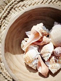 Madam Stoltz Schalen Sandry Aus Paulowniaholz, 2 StĂŒck â Bild 5