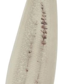 Bloomingville Handgemachte Servierplatte Bea Mit Gräser-Motiv – Bild 8