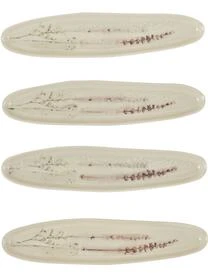 Bloomingville Handgemachte Servierplatte Bea Mit Gräser-Motiv – Bild 6